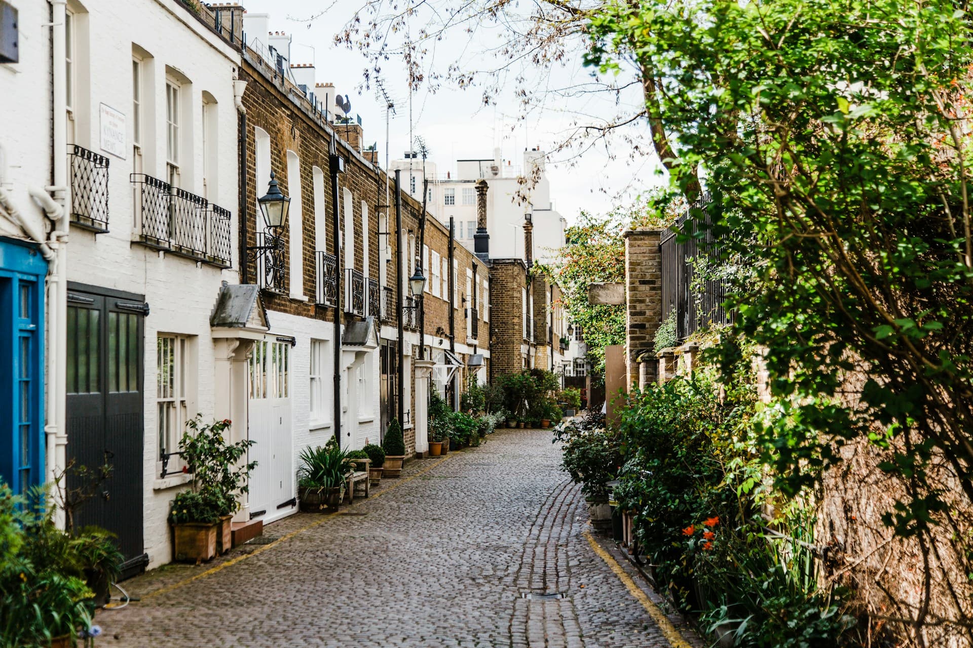 A tree-lined residential mews road in Kynance Mews, London