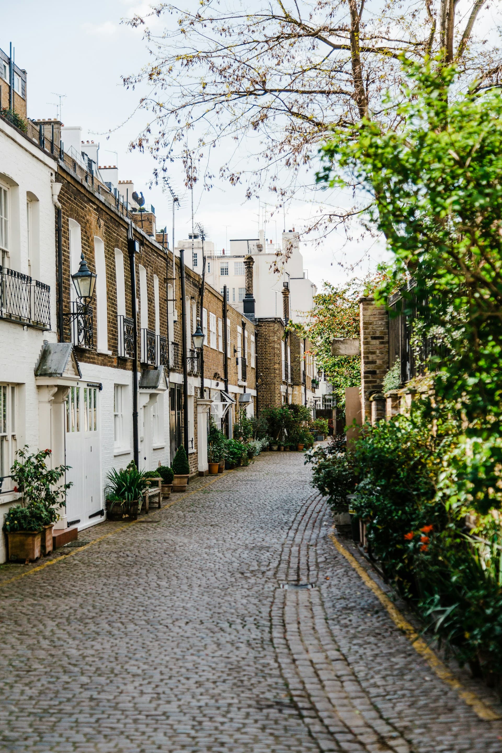 A cobblestone mews street in London lined with white-painted and brick houses